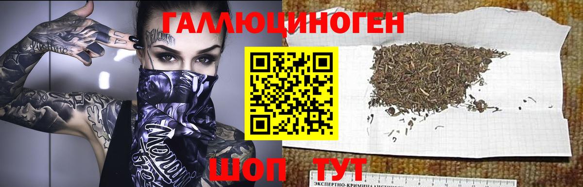 Псилоцибиновые грибы мицелий Мценск