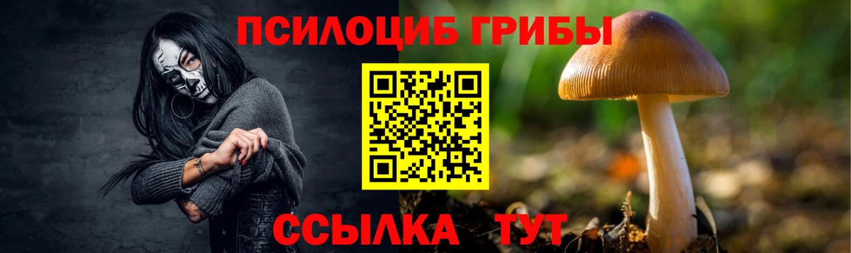 Мценск  Галлюциногенные грибы мухоморы  Вход с VPN  Галлюциногенные грибы GOLDEN TEACHER 